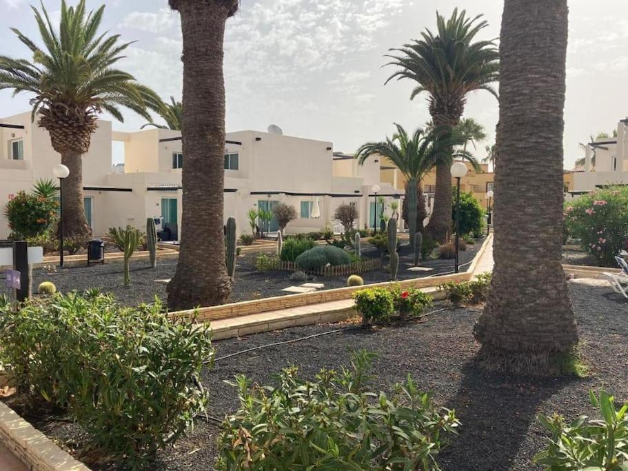 Corralejo Suite Pool & Gardens - Alisios Playa Zewnętrze zdjęcie
