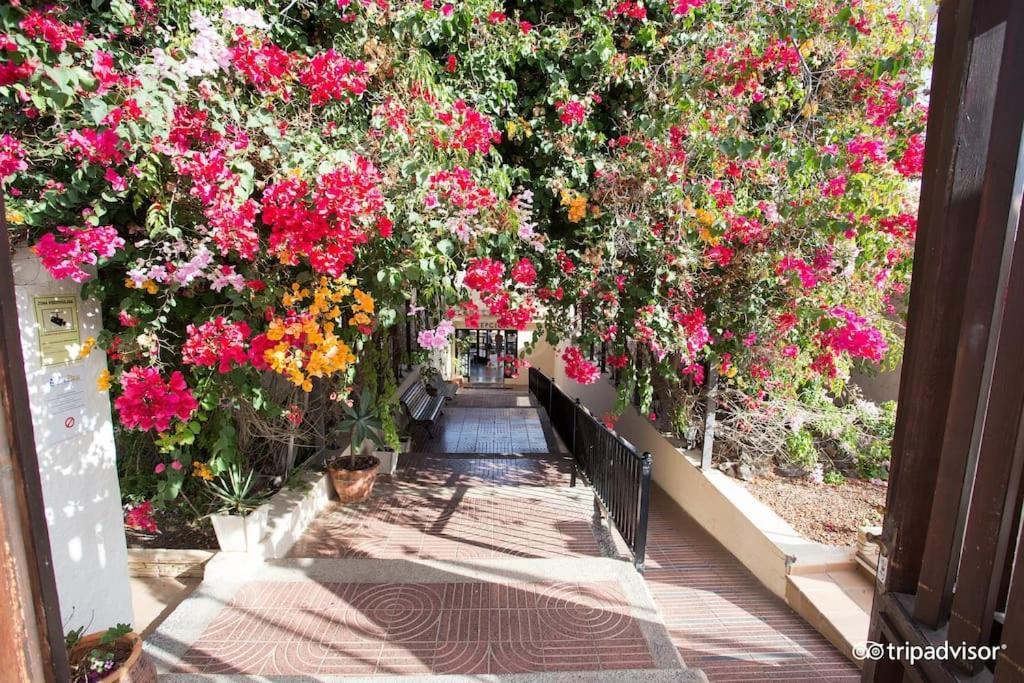 Corralejo Suite Pool & Gardens - Alisios Playa Zewnętrze zdjęcie