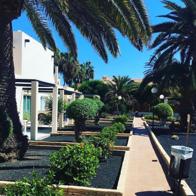 Corralejo Suite Pool & Gardens - Alisios Playa Zewnętrze zdjęcie